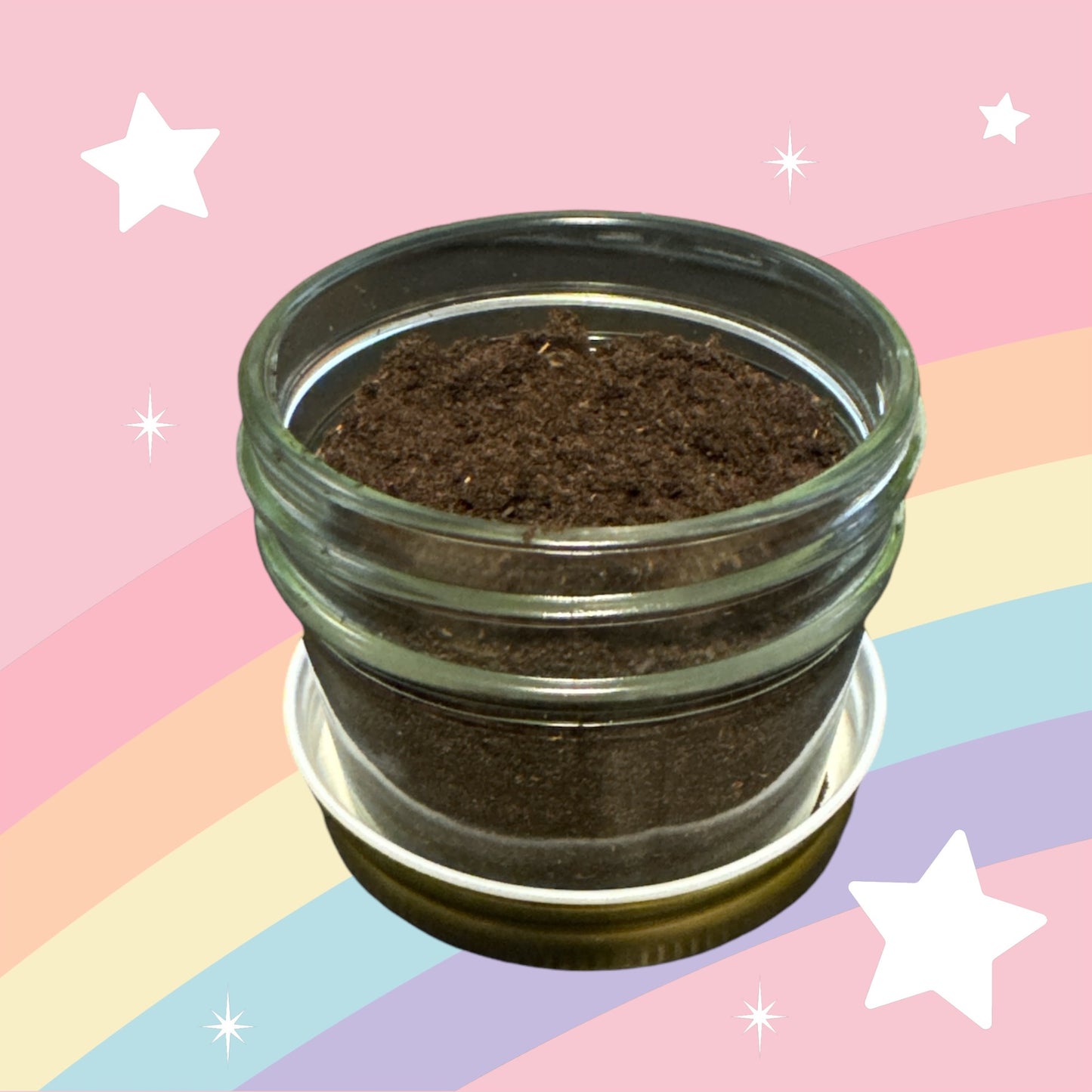 Vanilla Powder