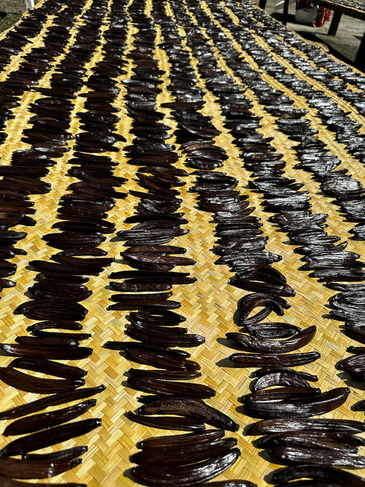 5x Gourmet Guatemalan  Cribbiana Vanilla Beans