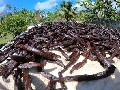 Gourmet Tahitensis Vanilla Bean from the Marquesas Islands